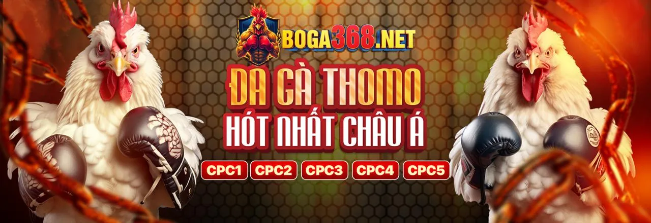 Đá gà trực tuyến 0123win app